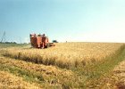 MF Drescher 18